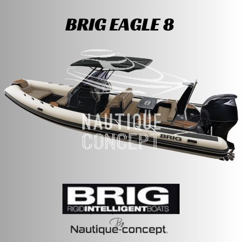 Brig Eagle 8